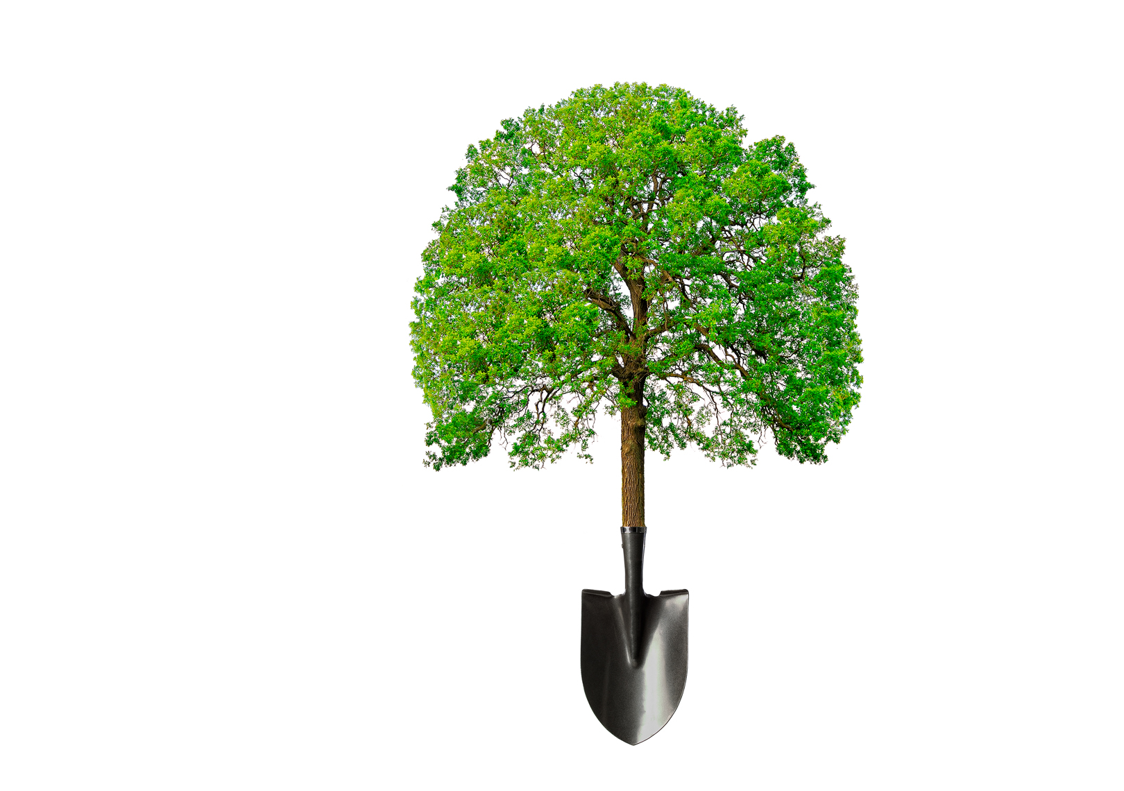 Tree-Shovel